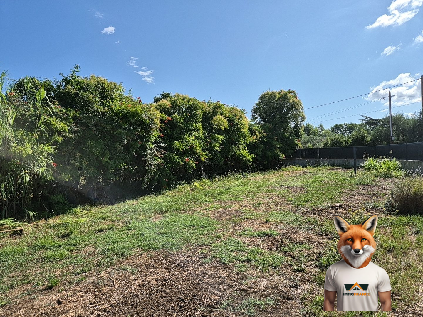 1753447264_VT280_1_original