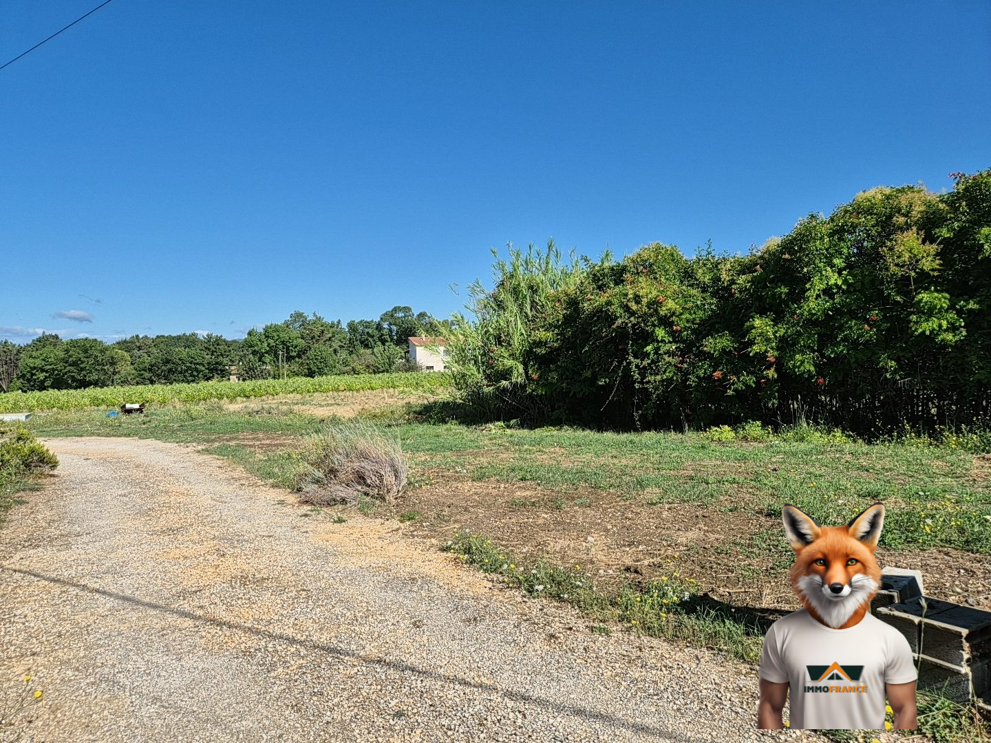 1753447265_VT280_2_original