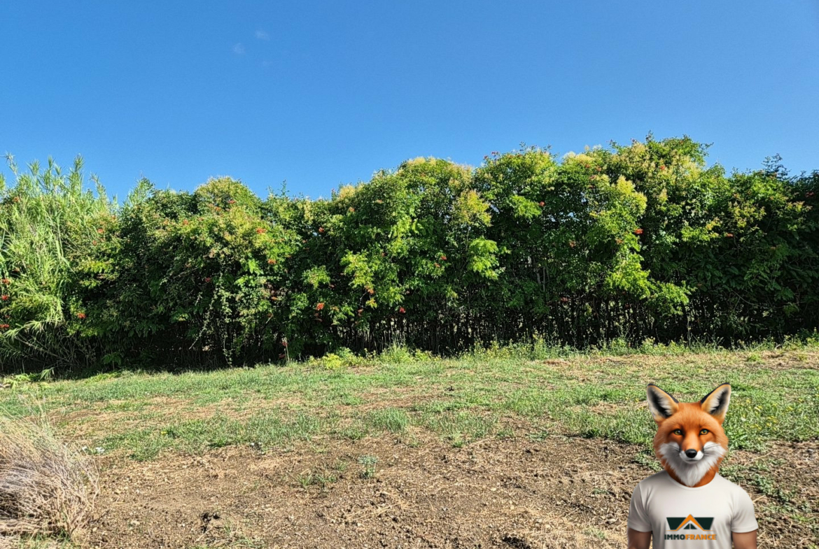 1753447266_VT280_3_original