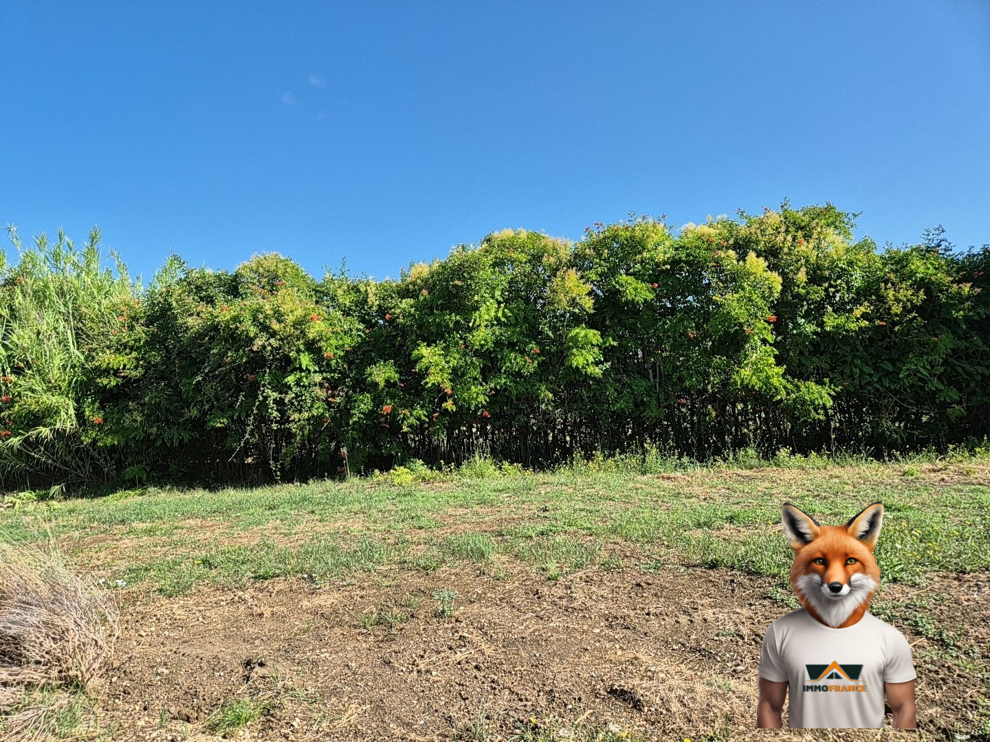 1753447266_VT280_3_original