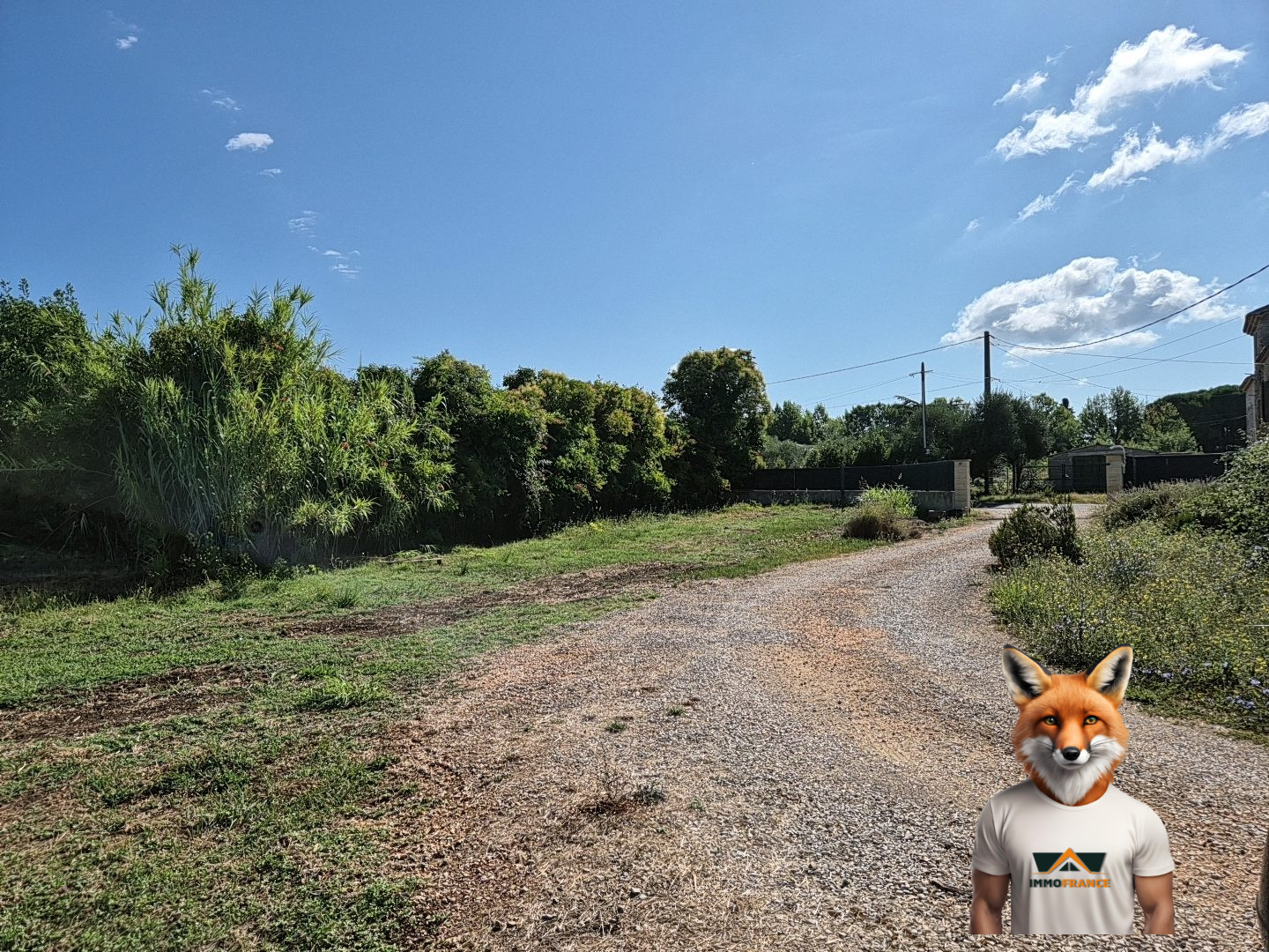 1753447267_VT280_4_original