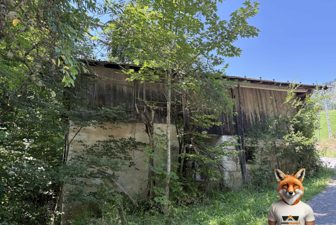 1756976760_VM2264_2_original