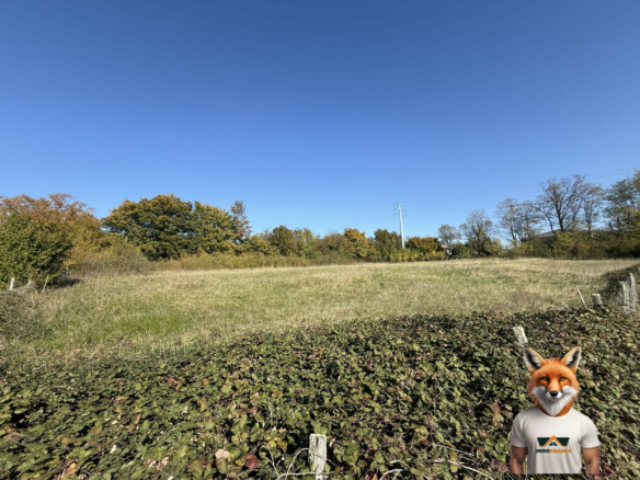 À vendre : Beau grand terrain à Saint-Vite _ 52,17 ares