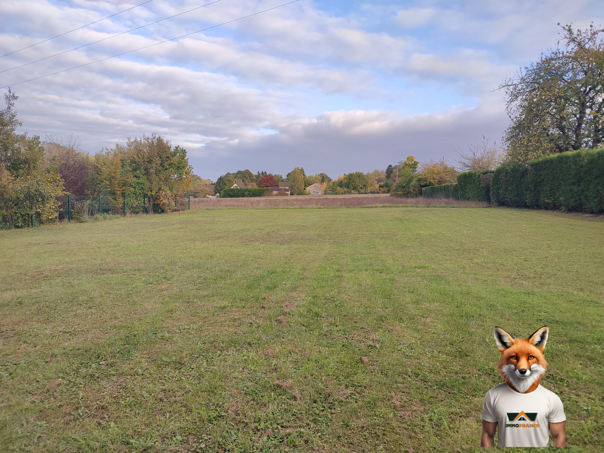 1761644975_VT292_1_original