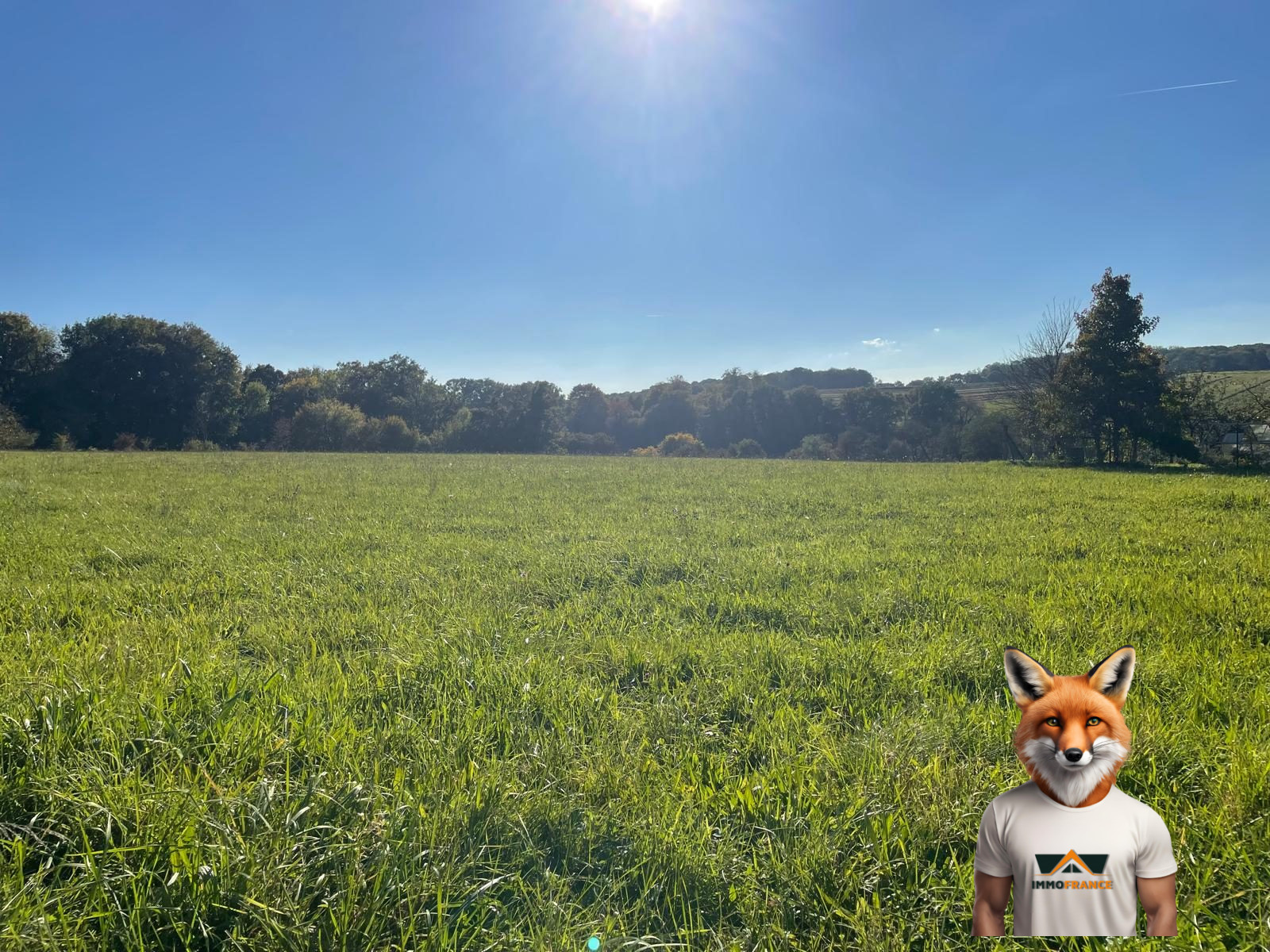 1761914261_VT291_1_original