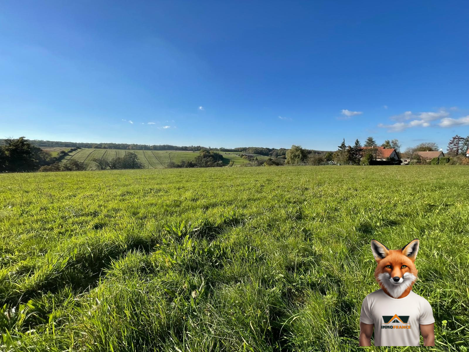 1761914262_VT291_2_original