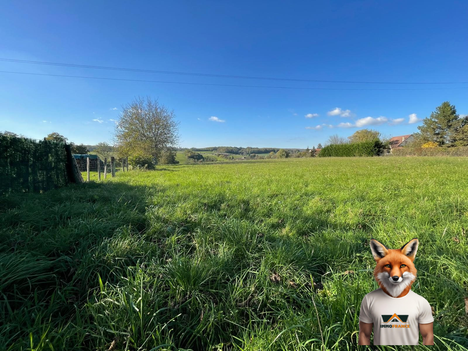 1761914262_VT291_3_original