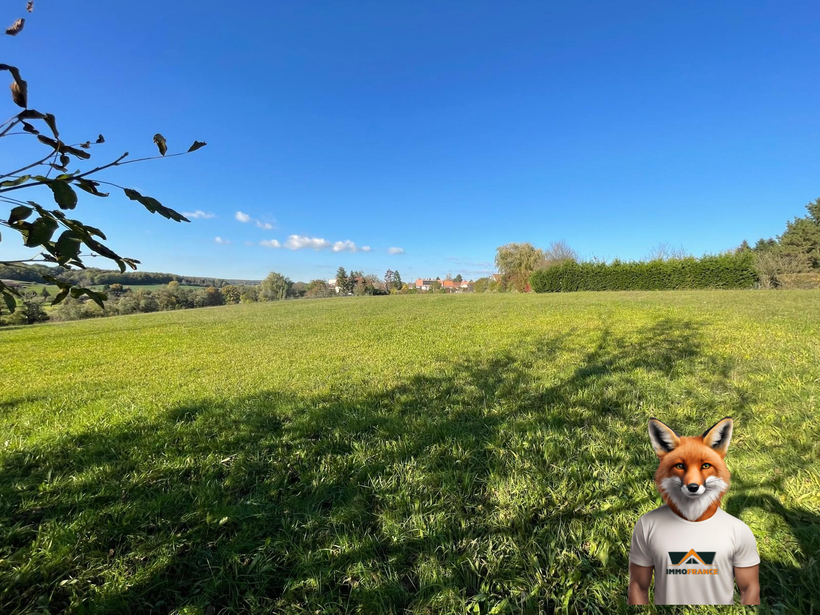 1761914263_VT291_4_original