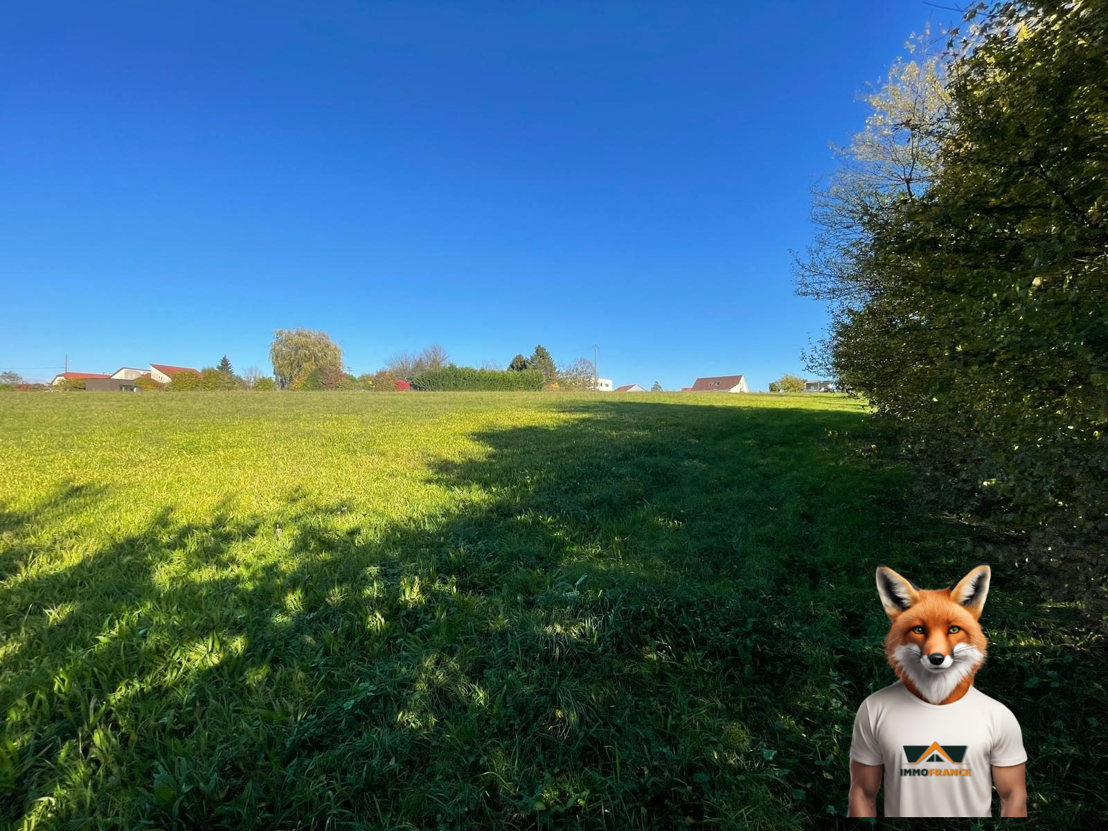 1761914263_VT291_5_original