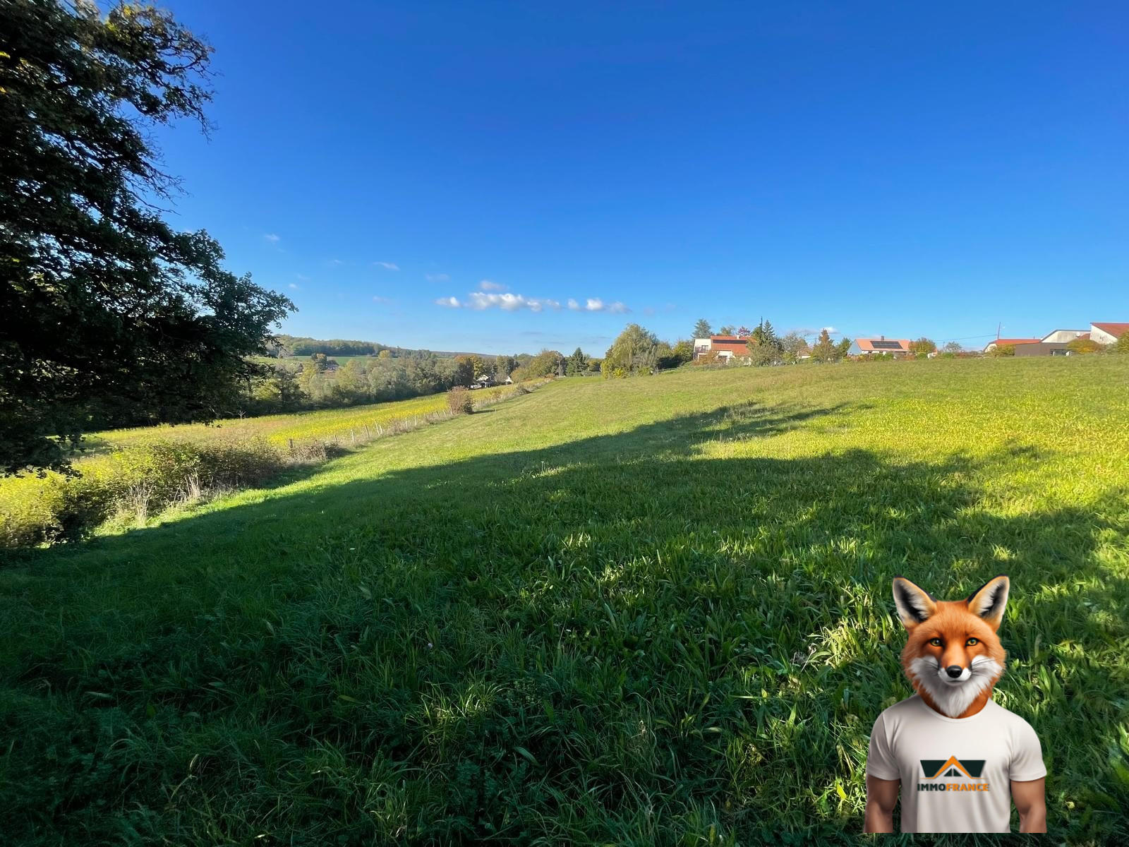 1761914264_VT291_6_original