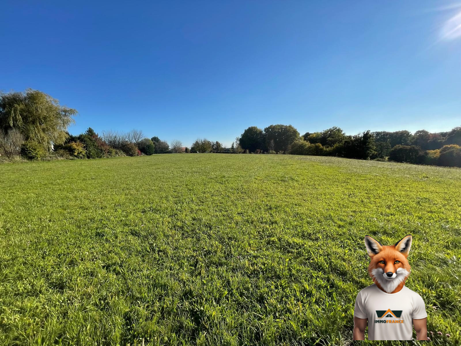 1761914264_VT291_7_original