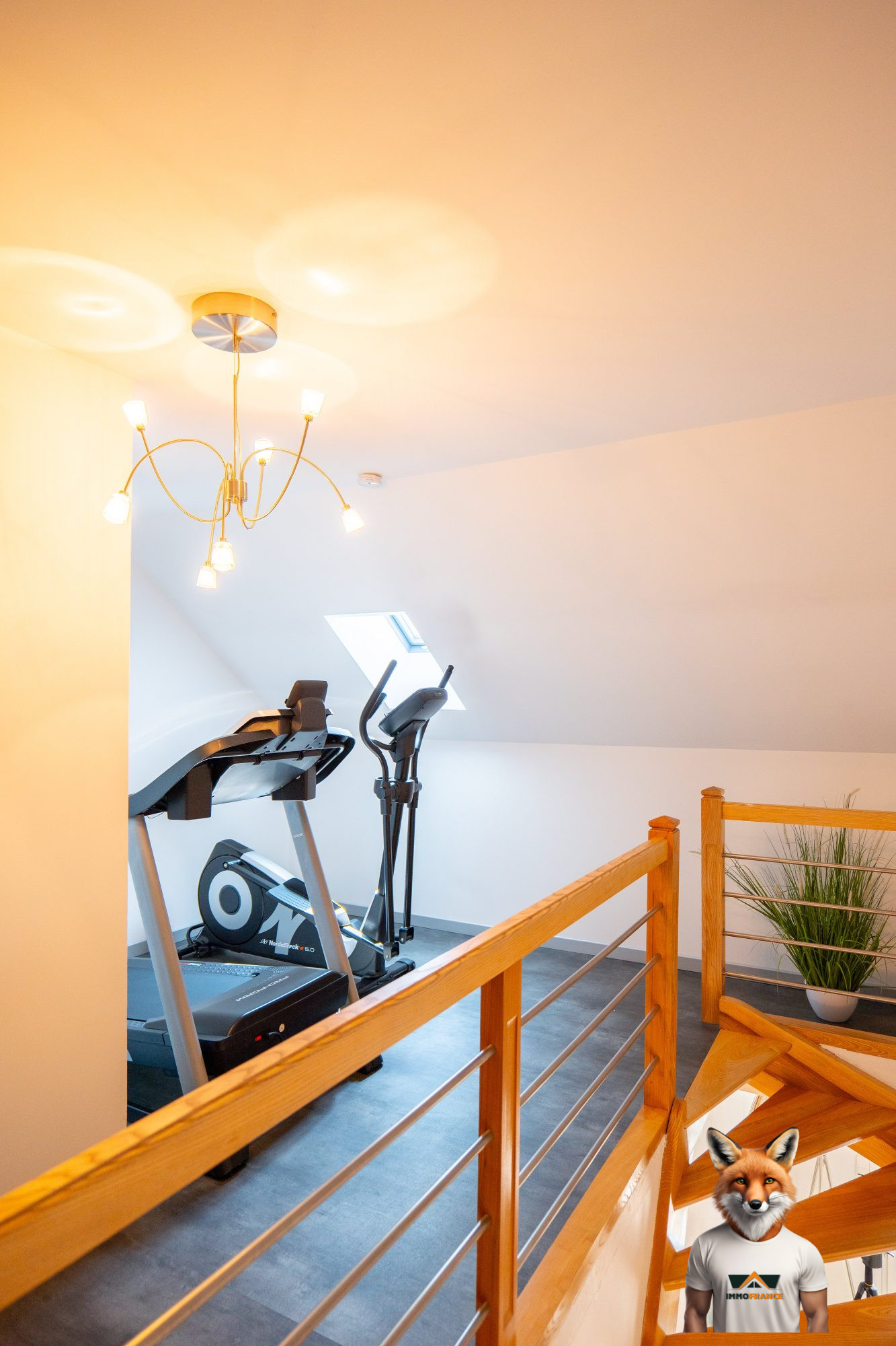 1761987106_VA3730_21_original