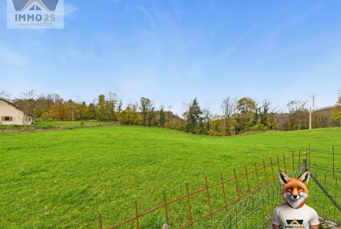 1762262610_VM2373_4_original