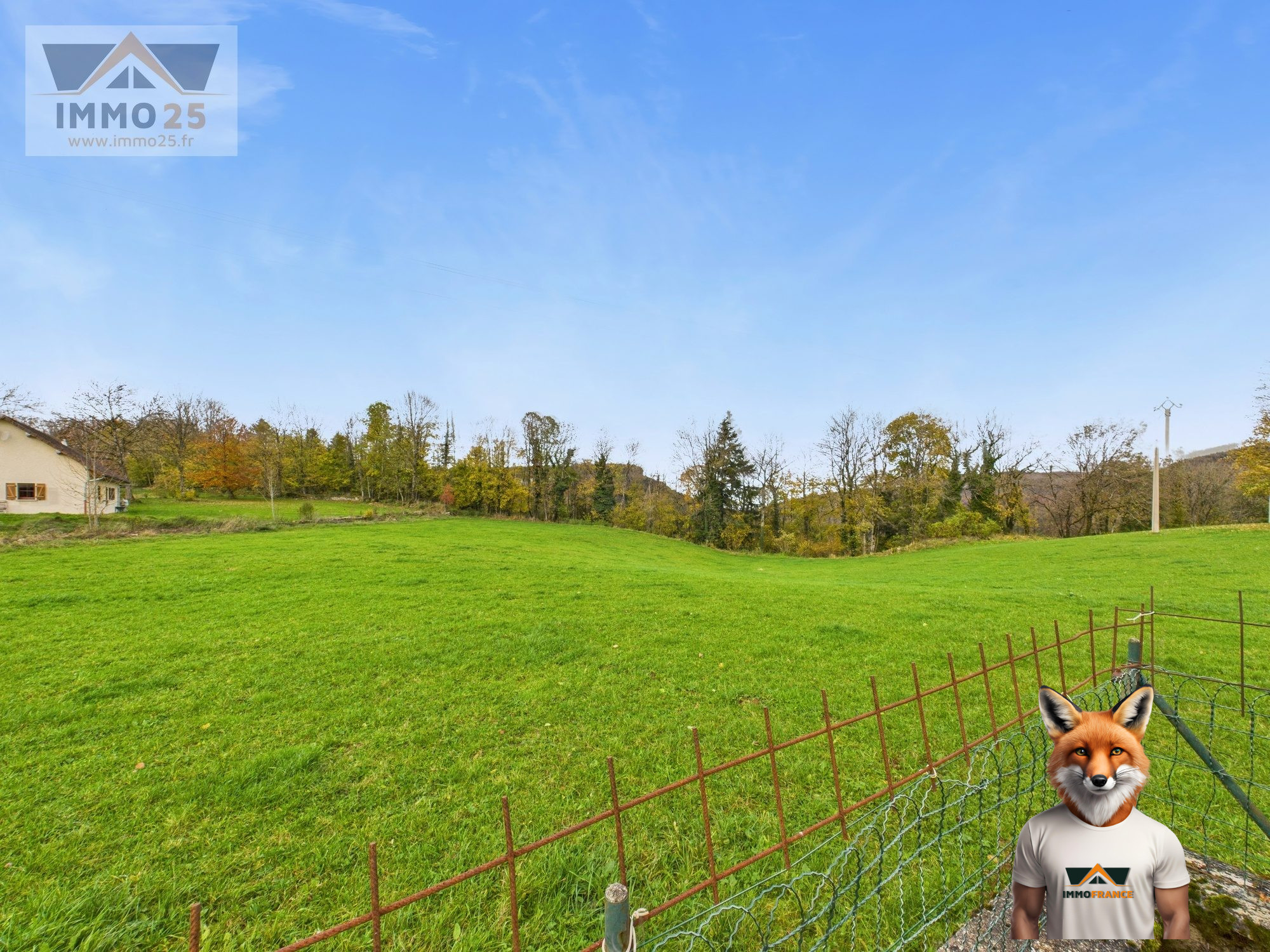 1762262610_VM2373_4_original