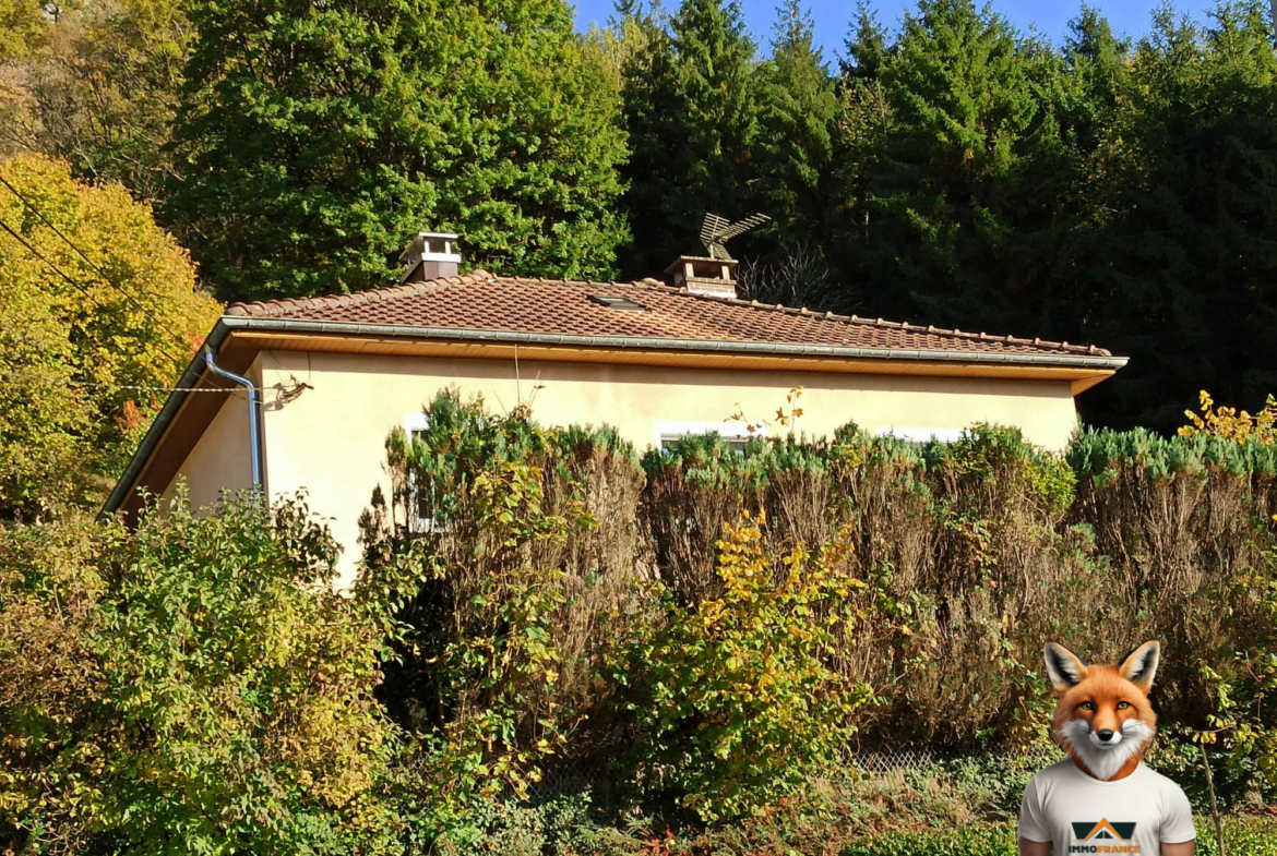 1763016474_VM2381_9_original