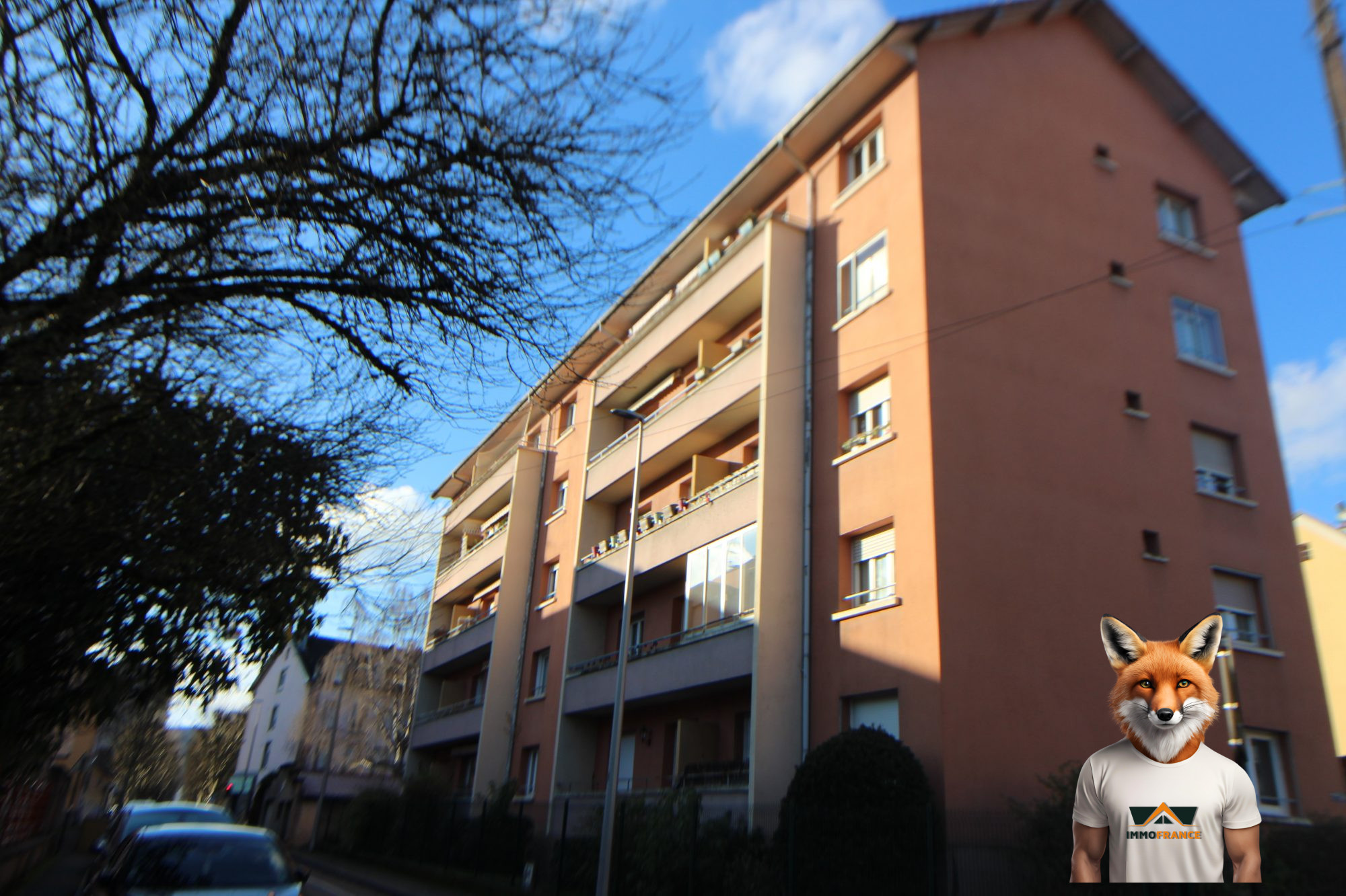 1764859368_VA3836_11_original