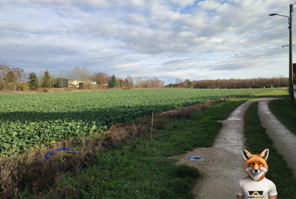 1765904318_VT300_1_original