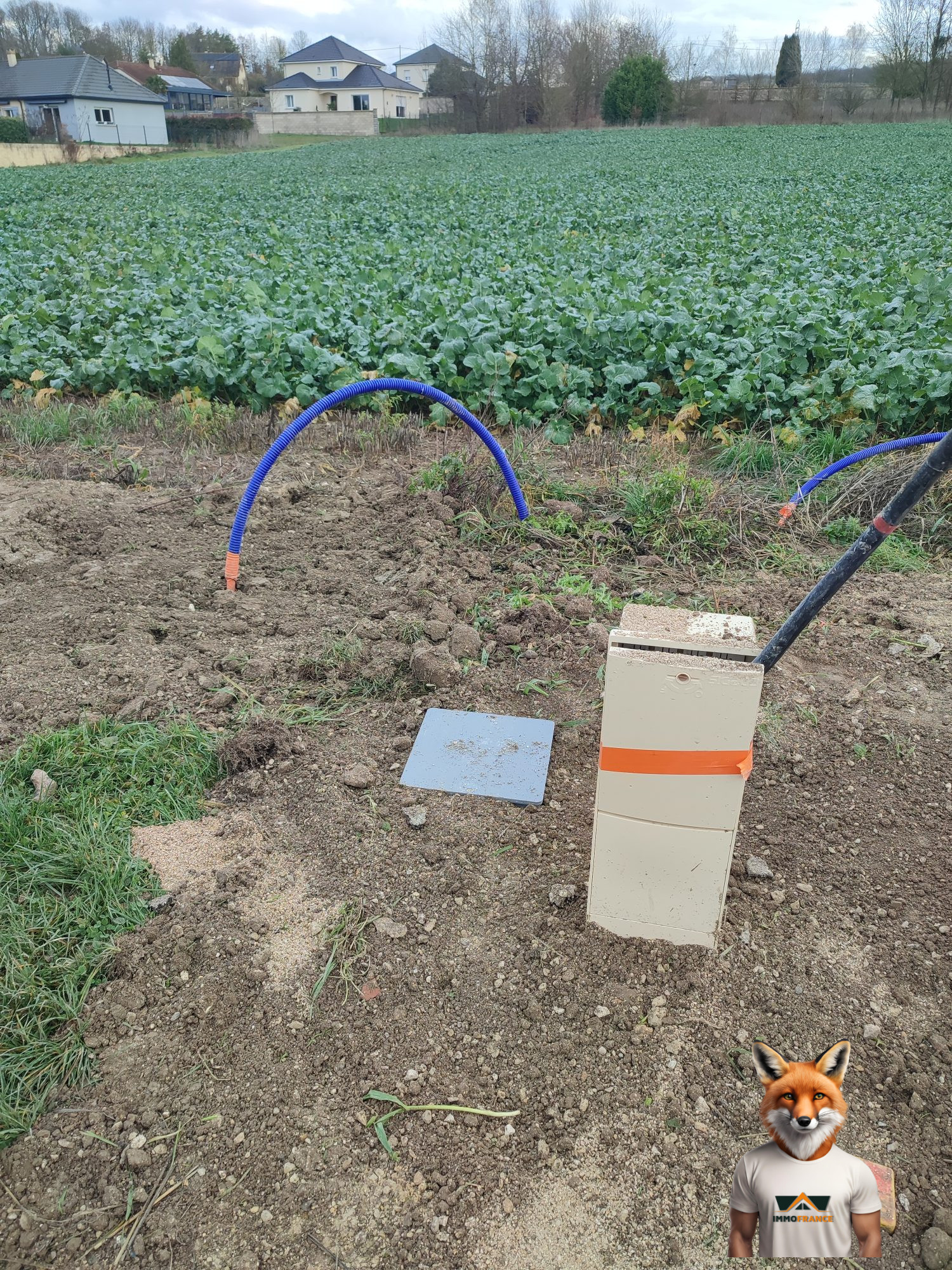 1765904704_VT300_3_original