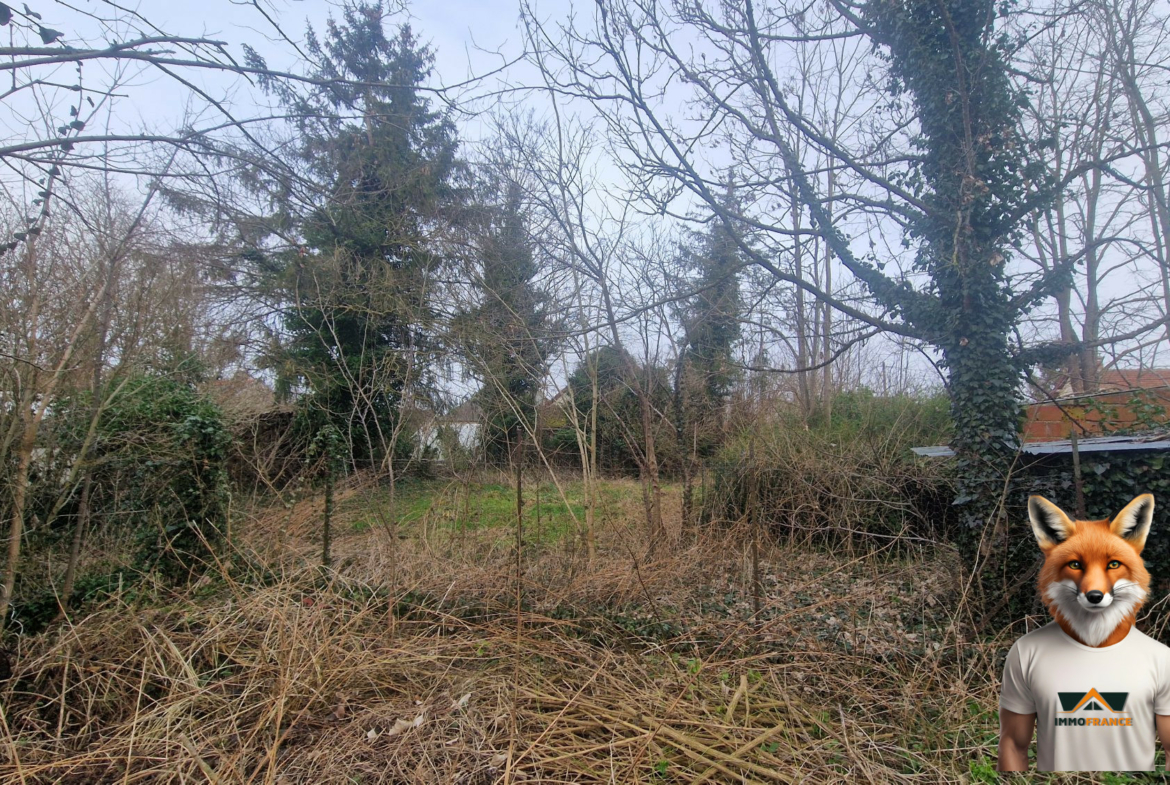 1766053224_VT299_2_original