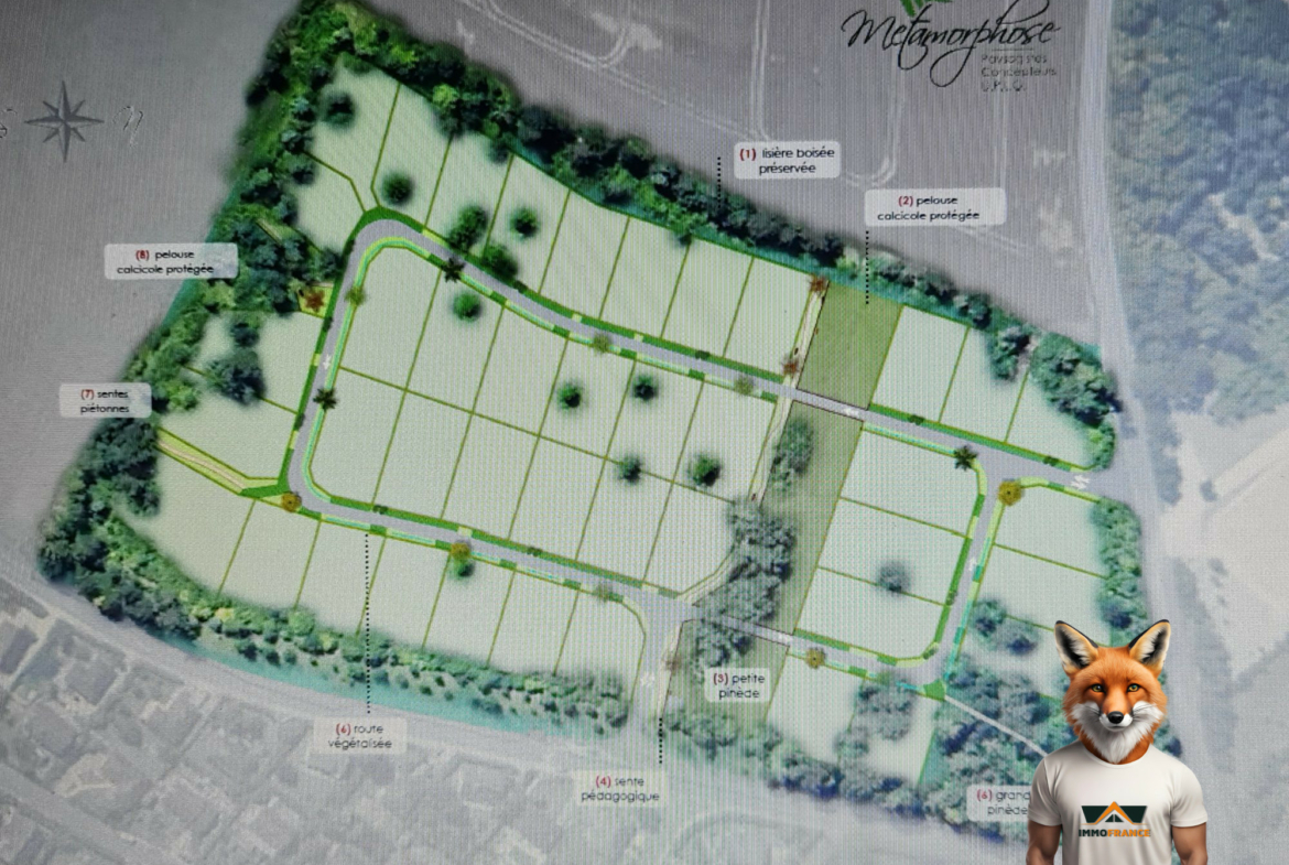 1766159287_VT306_3_original