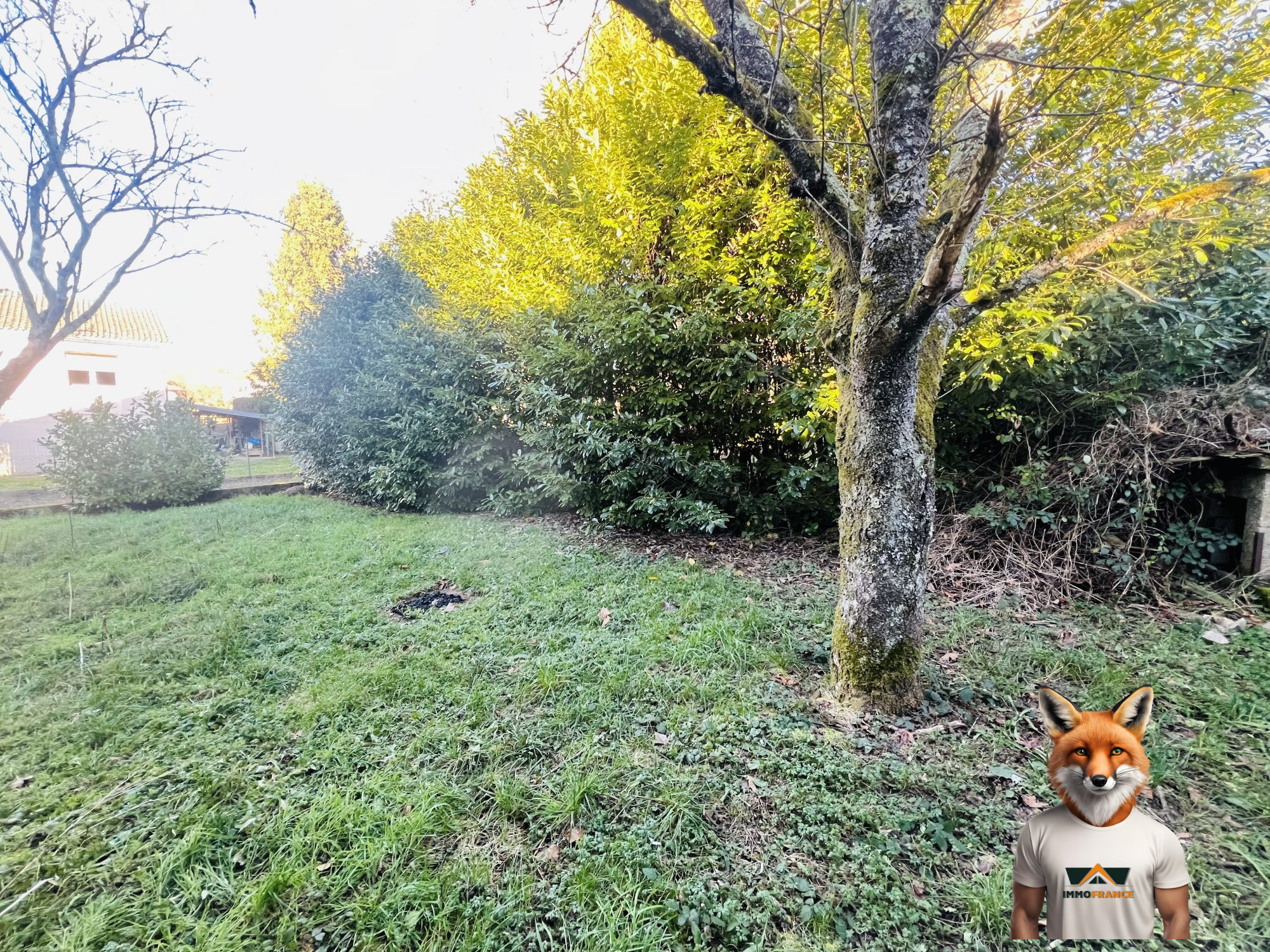 1768225192_VM2454_3_original