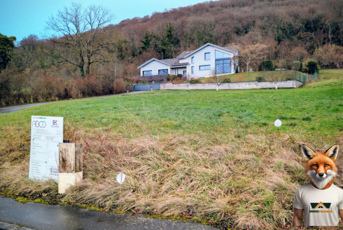 1768648523_VT297_1_original