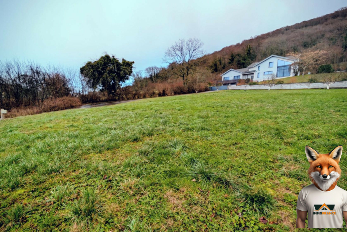 1768648524_VT297_2_original