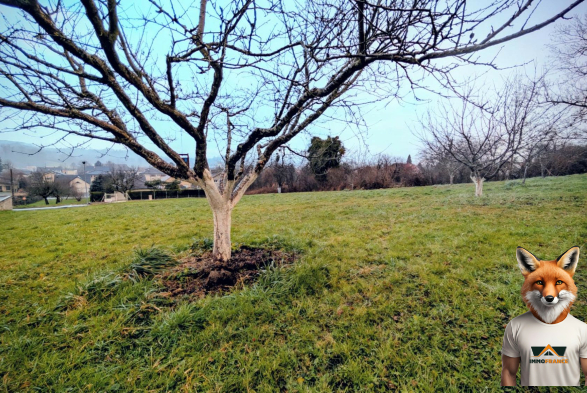 1768648525_VT297_4_original