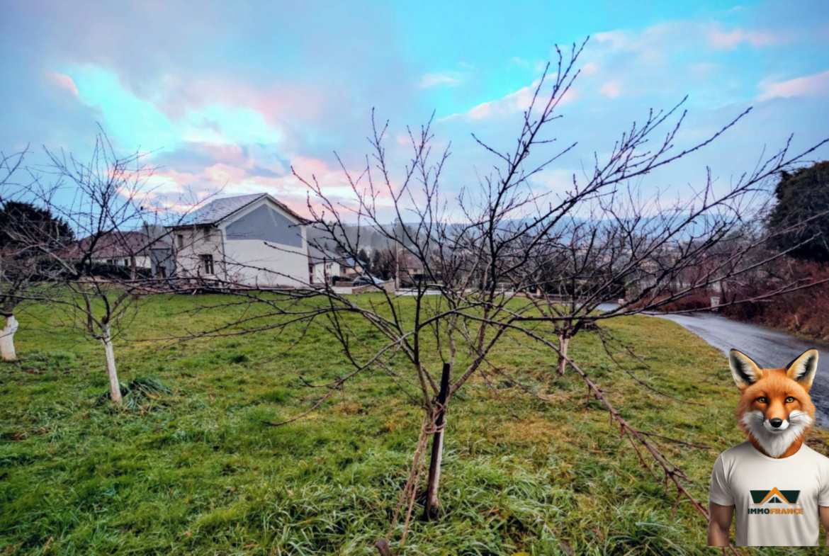 1768648526_VT297_5_original