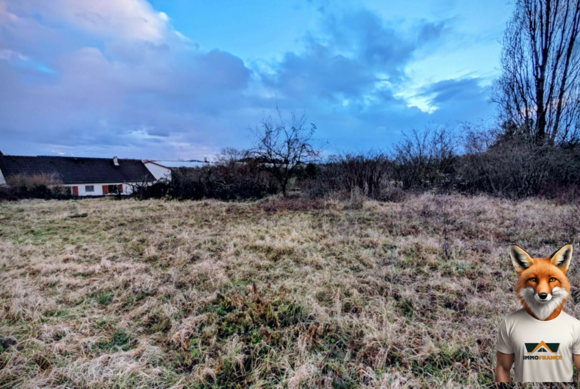 1768653058_VT309_6_original