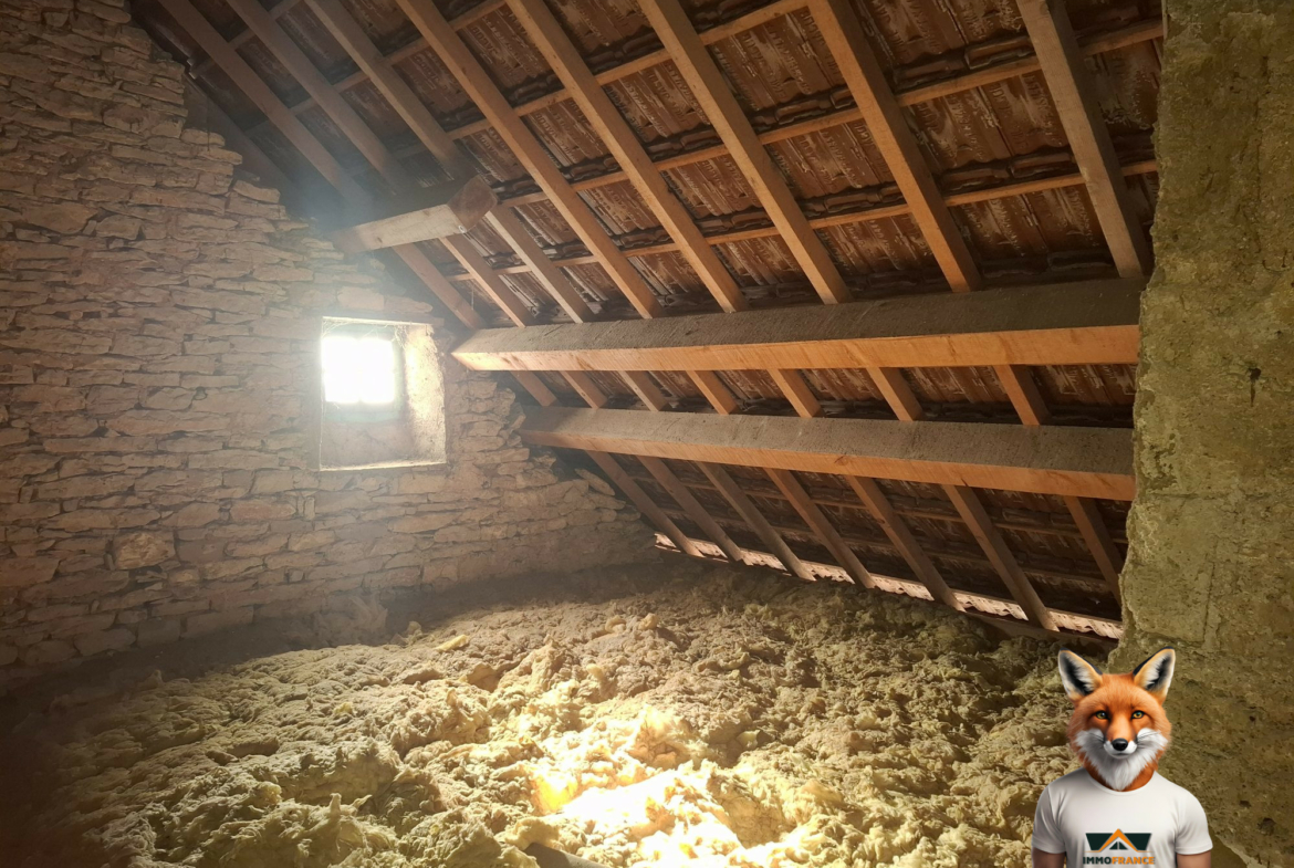 1769159745_VM2465_11_original