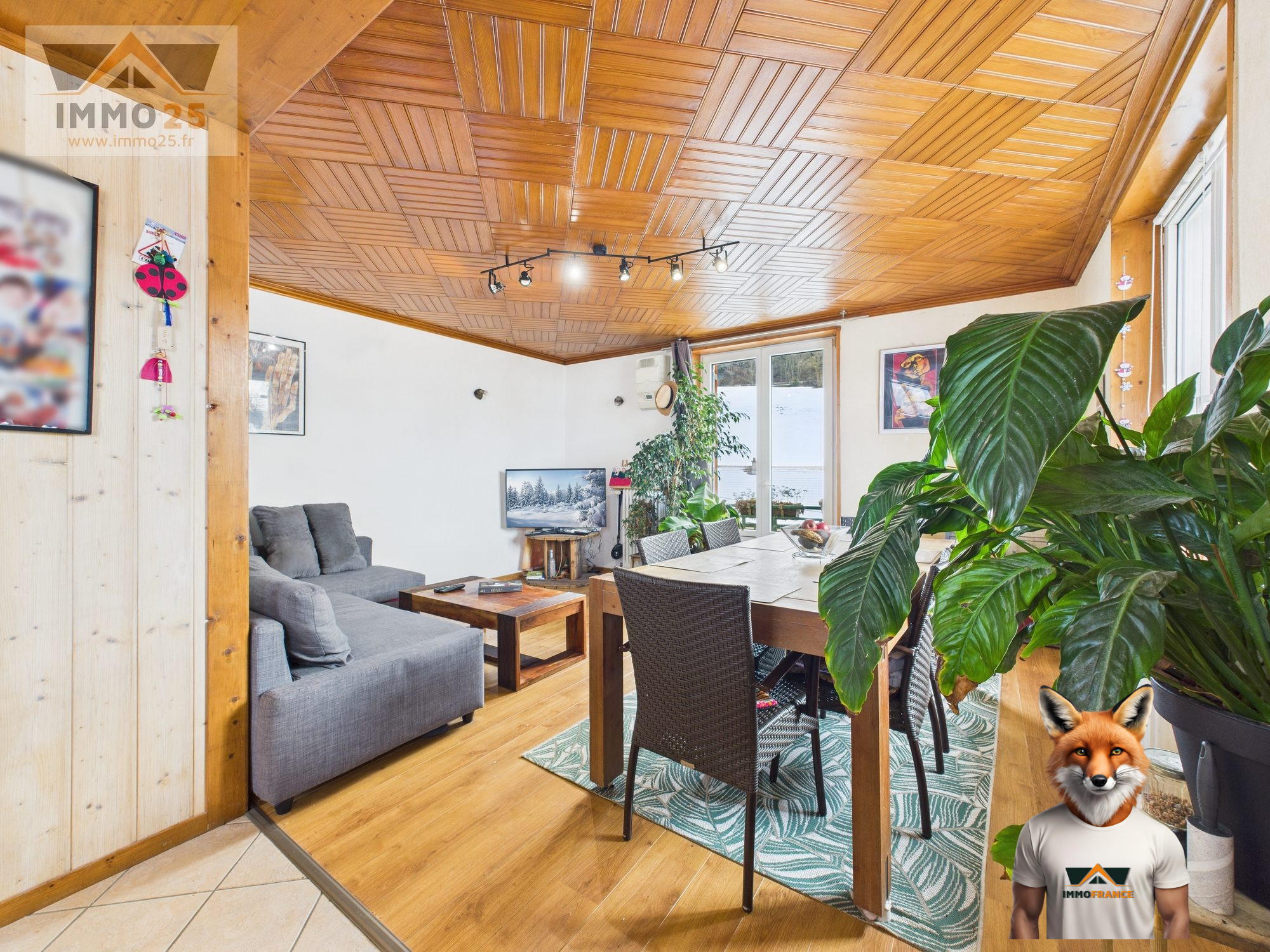 1769468919_VA3893_3_original