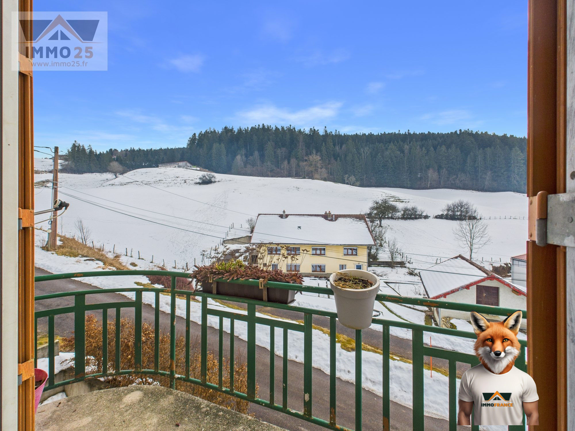 1769468925_VA3893_8_original