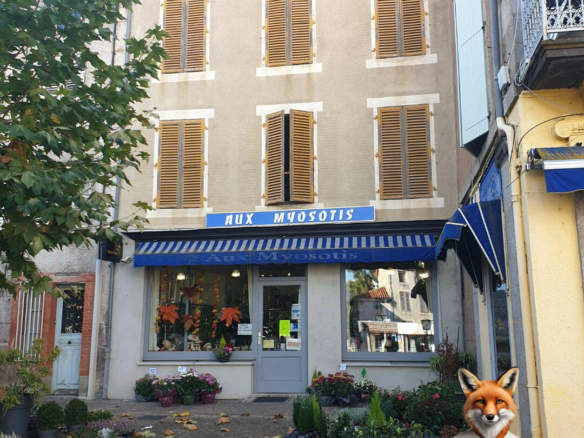 Maison  12 pièces 500 m2 plus local commercial