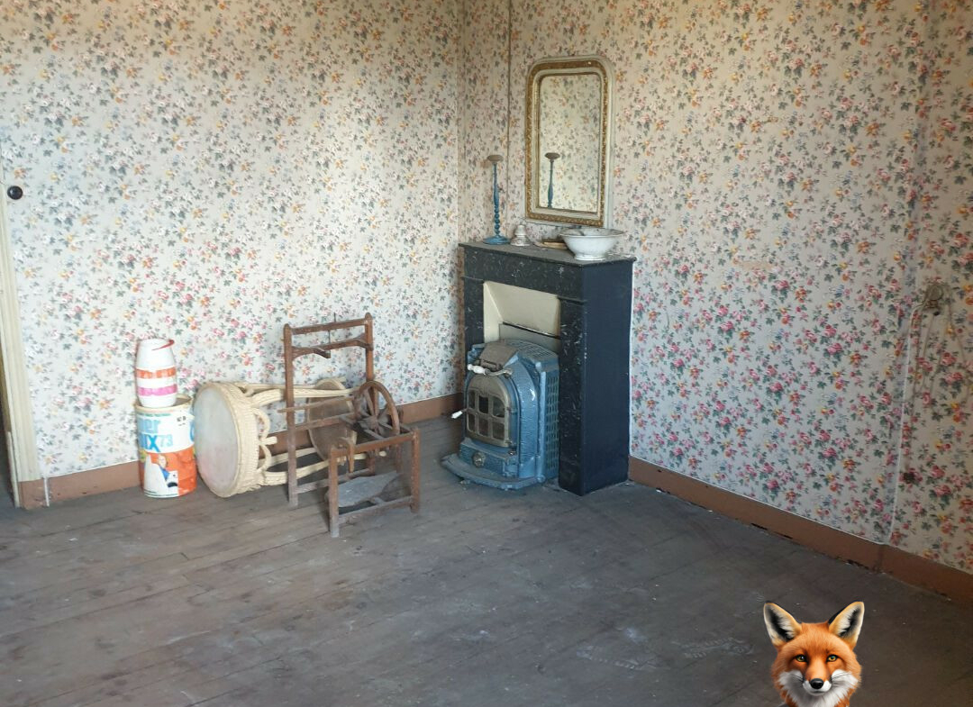 1751894525_VM1454_6_original