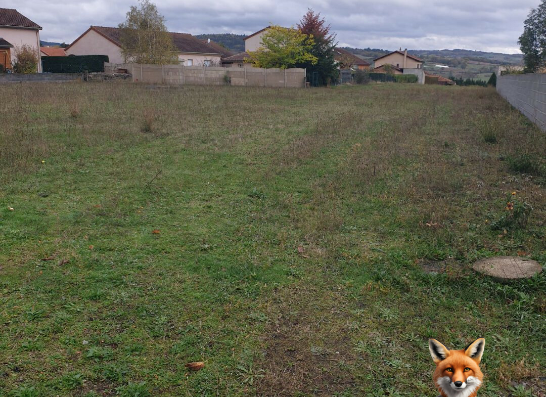 1751894557_VT200_2_original