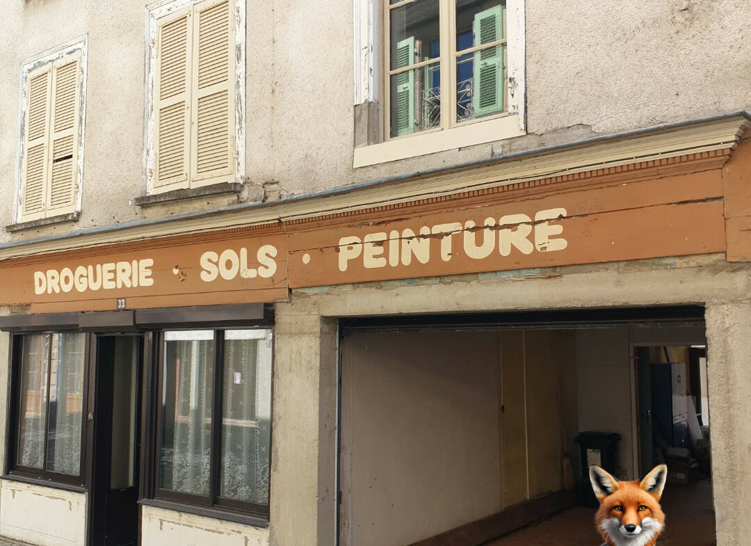 1751894647_VM1650_10_original