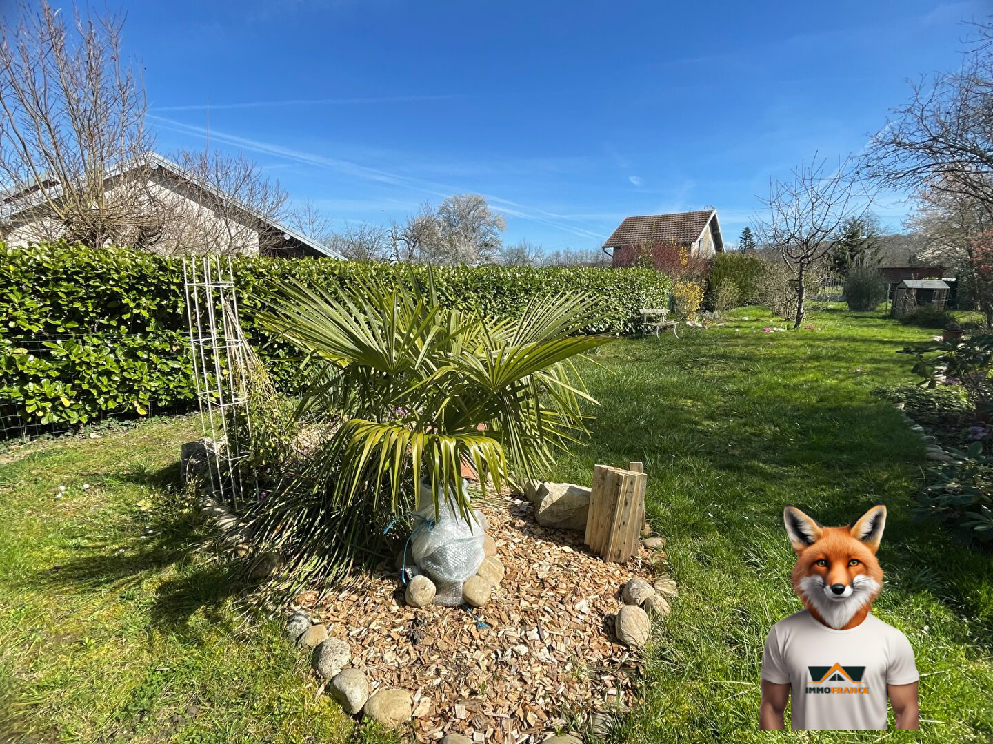 1751894653_VM1564_2_original