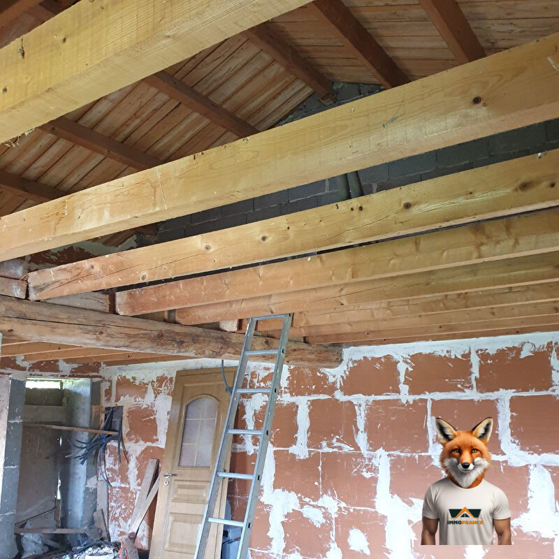 1751894661_VM1686_5_original