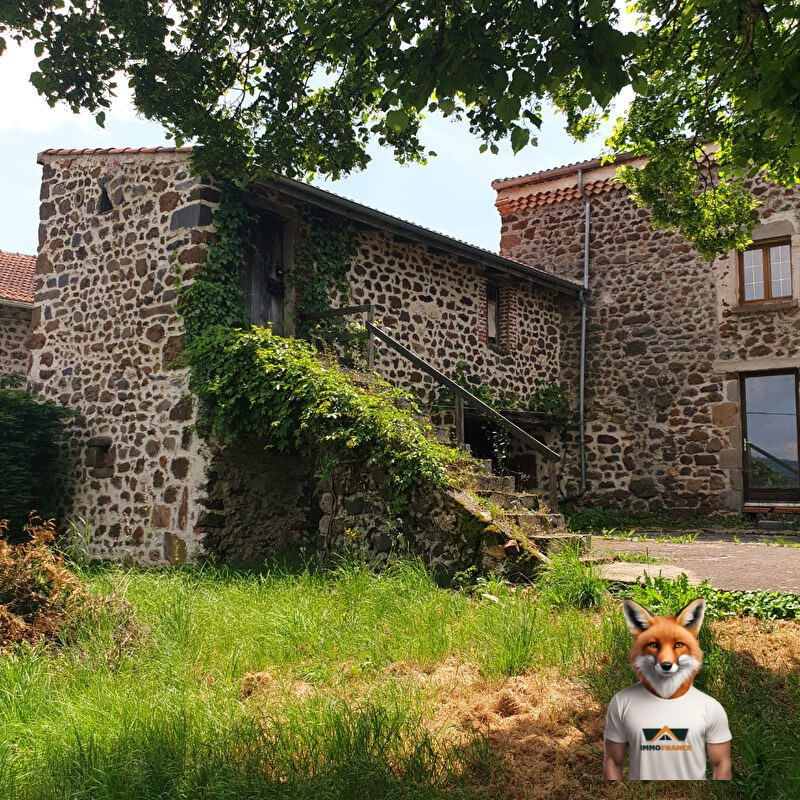 1751894662_VM1686_11_original