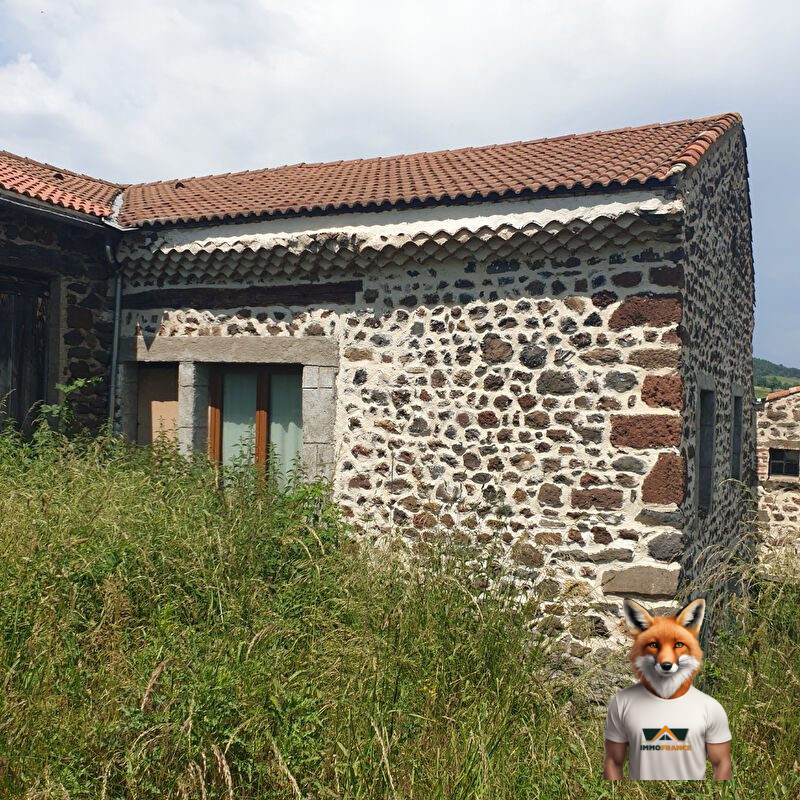 1751894662_VM1686_8_original