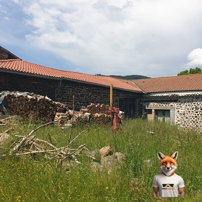 1751894662_VM1686_9_original