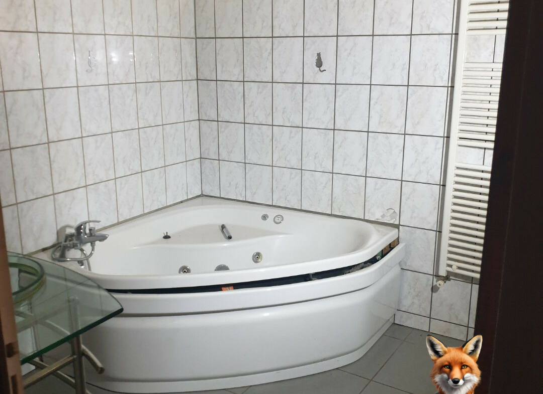 1751894724_VM1832_7_original