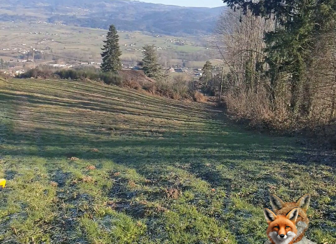 1751894785_VT238_1_original