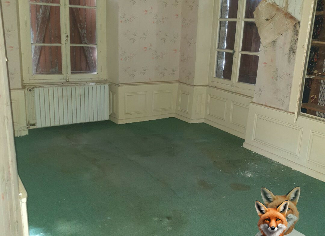 1751894881_VM2114_2_original