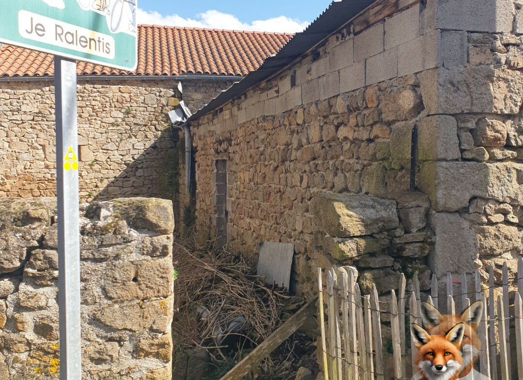 1751894884_VM2058_8_original