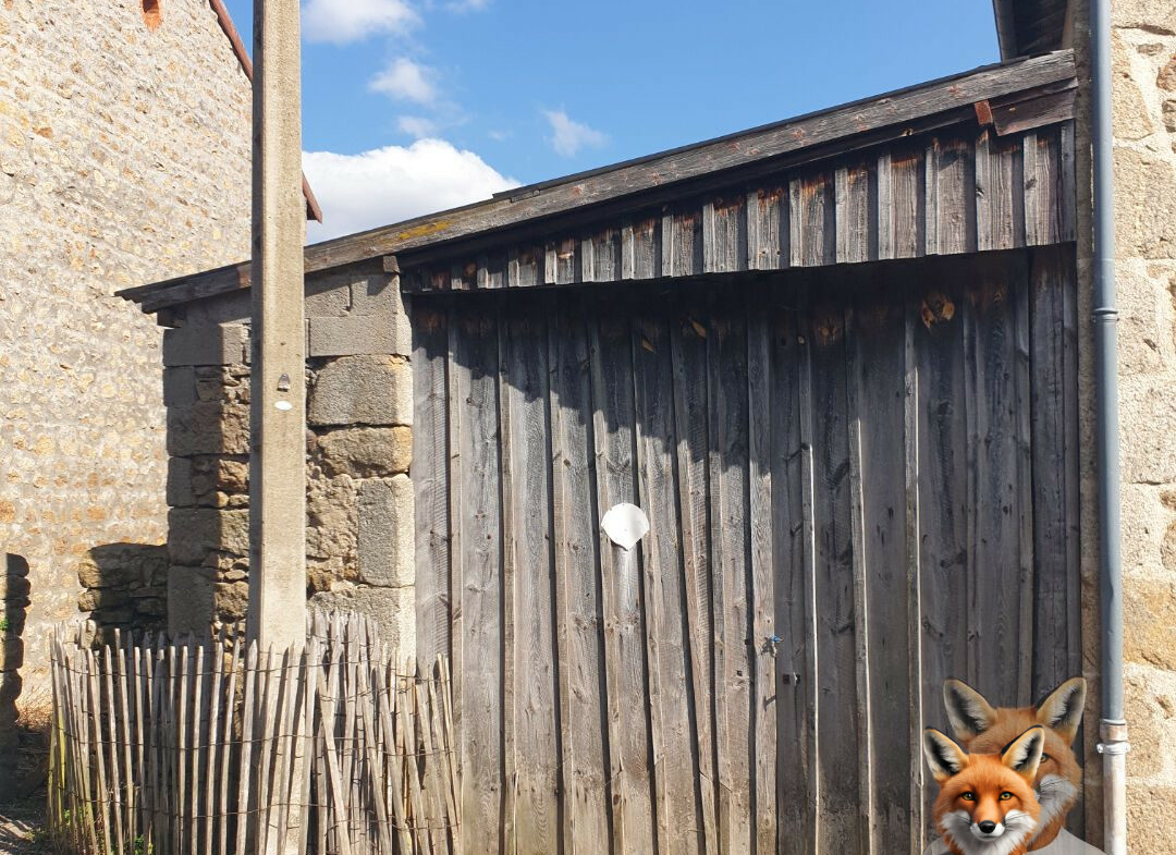 1751894884_VM2058_9_original