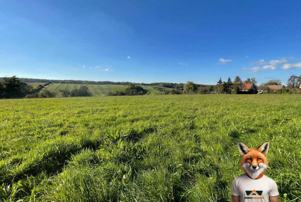 1761914262_VT291_2_original