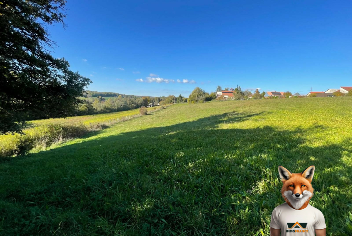 1761914264_VT291_6_original