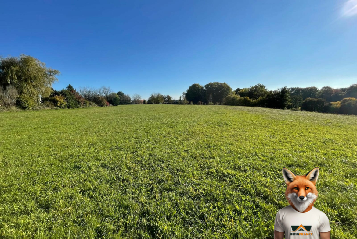 1761914264_VT291_7_original